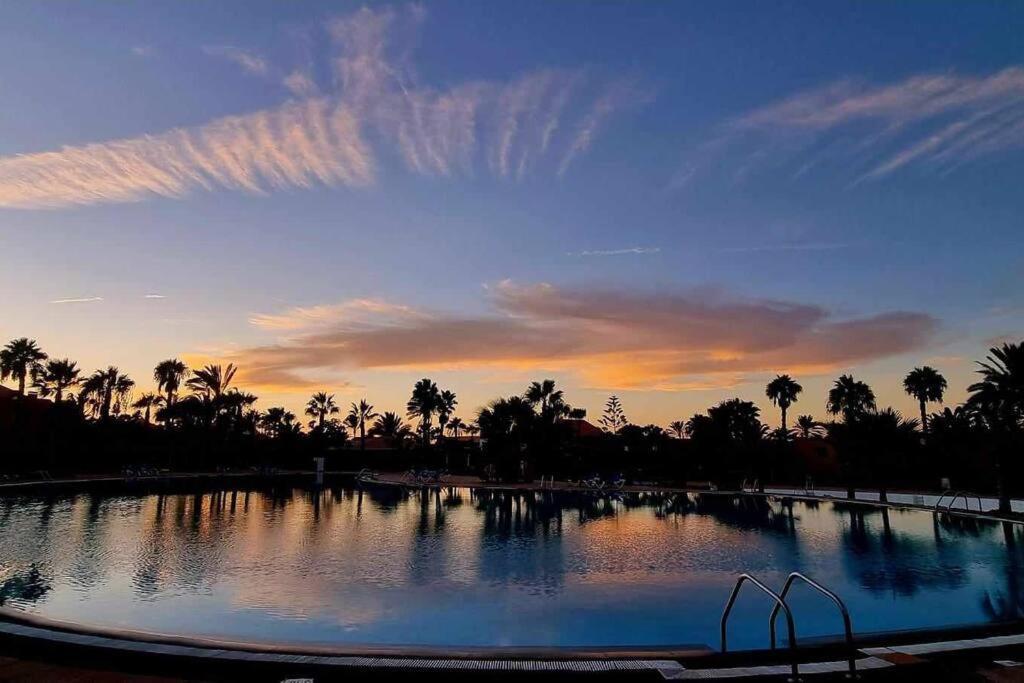 Appartamento Bouganville Con Terrazza E Piscina Corralejo Buitenkant foto