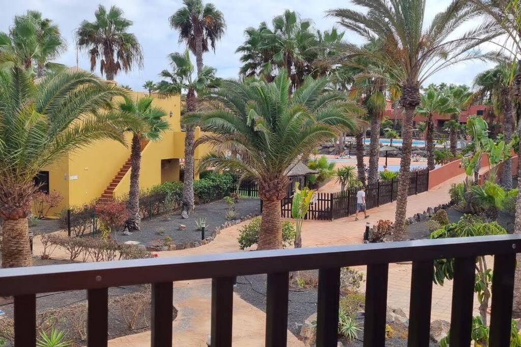 Appartamento Bouganville Con Terrazza E Piscina Corralejo Buitenkant foto