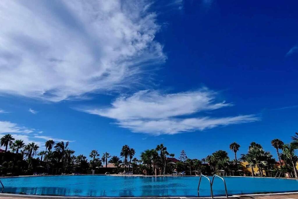 Appartamento Bouganville Con Terrazza E Piscina Corralejo Buitenkant foto